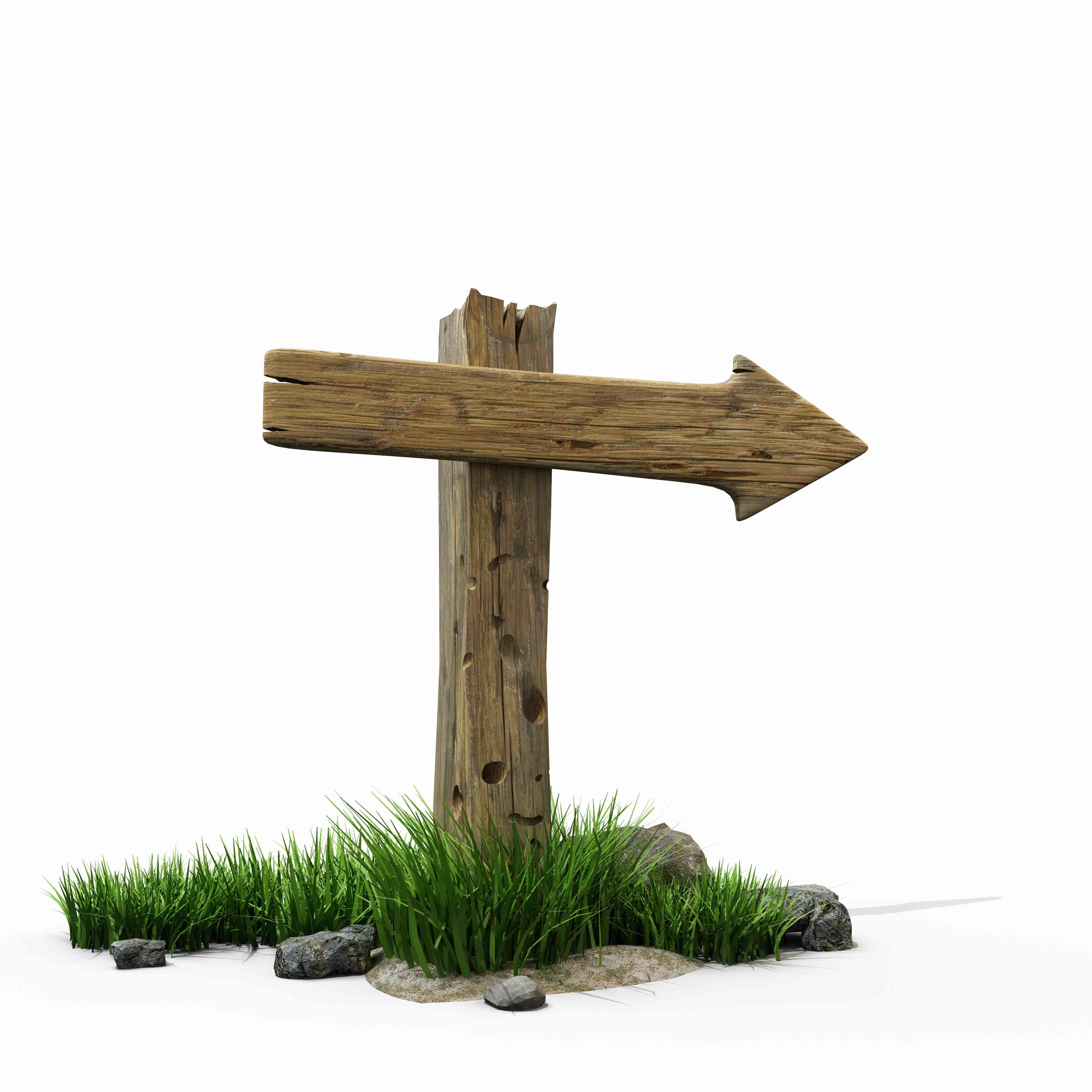 Eerste en enige Nederlandse hoogleraar 'filosofie van de neurowetenschappen' bij VUmc