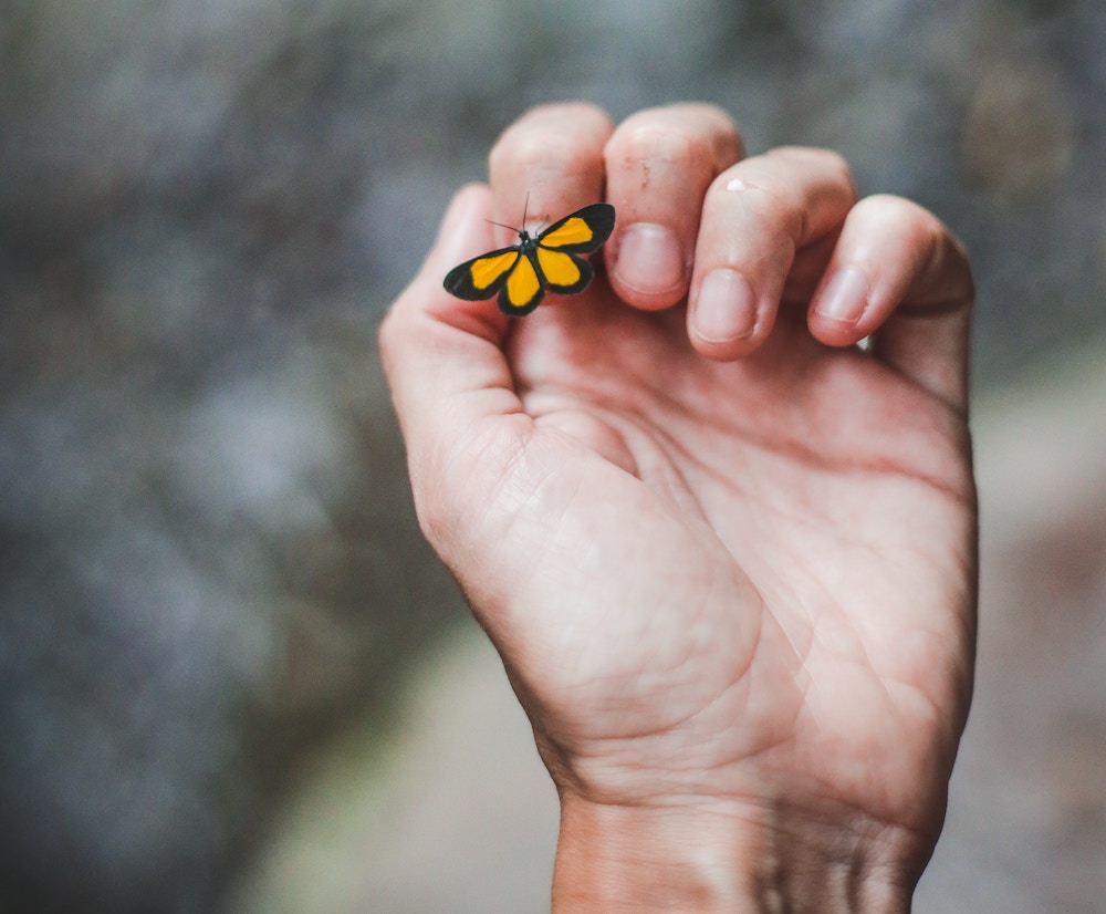 Ruimte schoffelen voor cliënten
