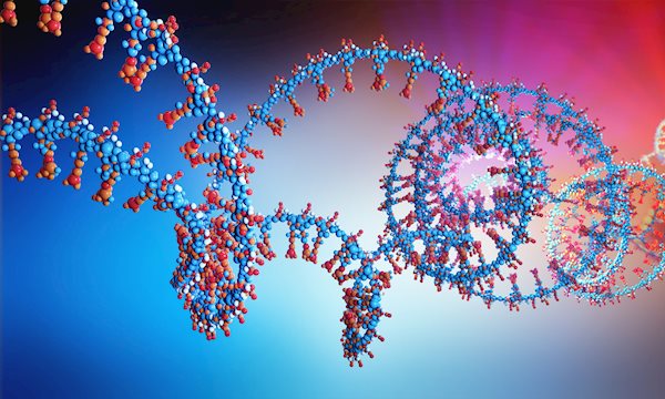 Mutatie in 'ontwikkelings-gen' verhoogt kans op schizofrenie