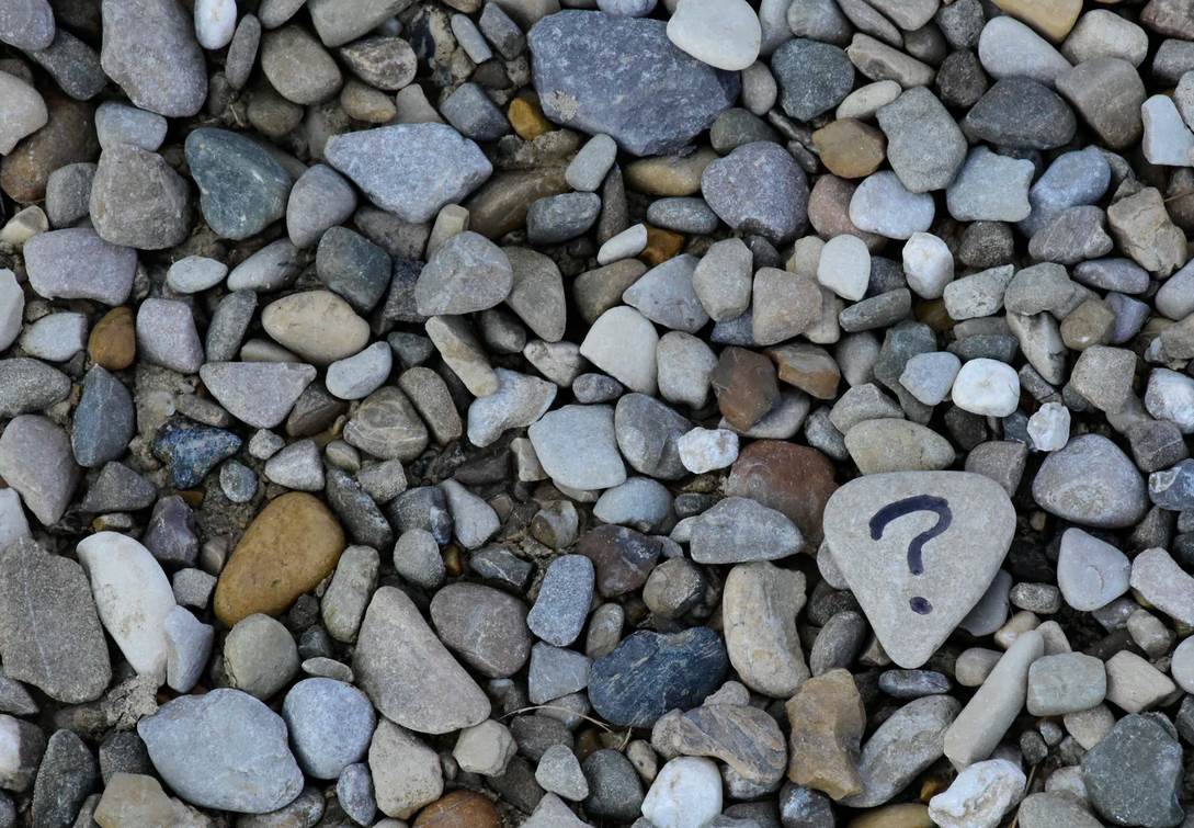 Alles wat je altijd al aan je naaste wilde vragen maar nooit durfde