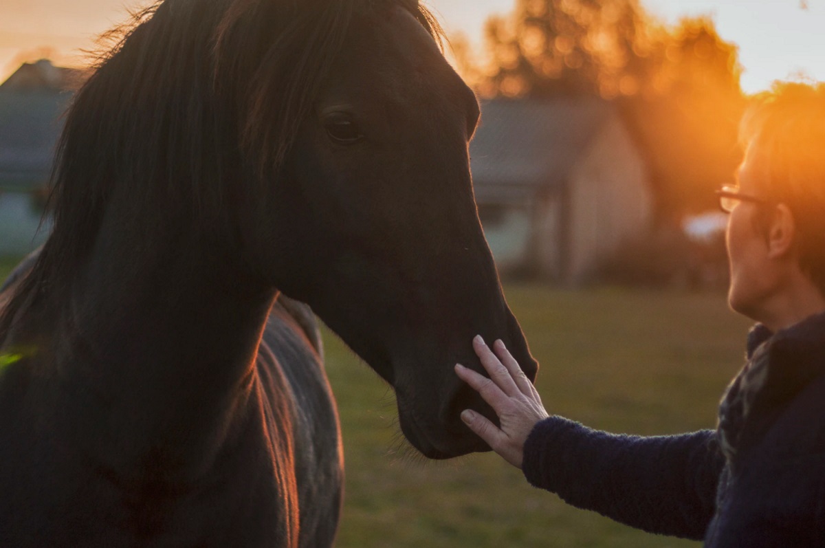 Internationale accreditatie voor dierondersteunde therapie van Hulphond Nederland 