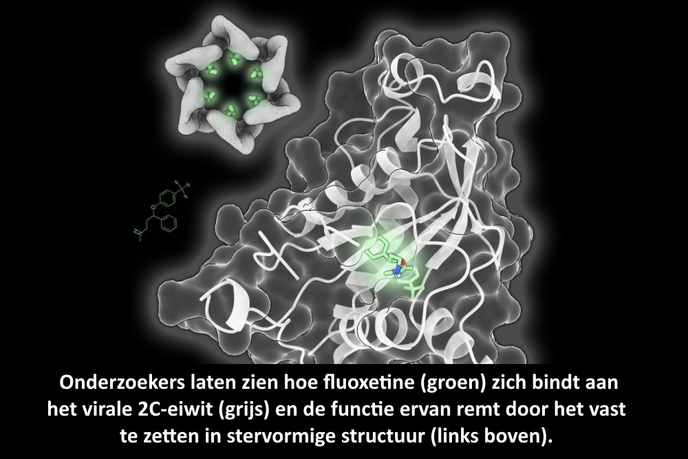 Antidepressivum Fluoxetine (Prozac) ingezet in de strijd tegen virussen