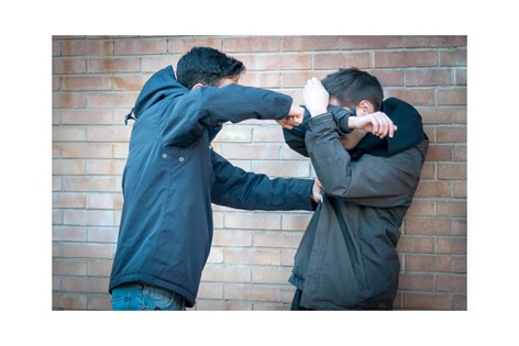 externaliserend gedrag