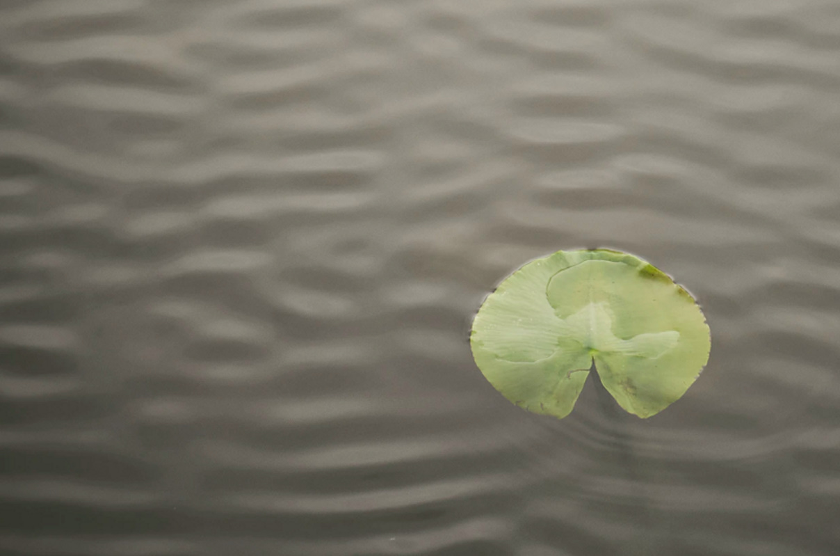 Nieuwe website met compleet overzicht Landelijke Agenda Suïcidepreventie