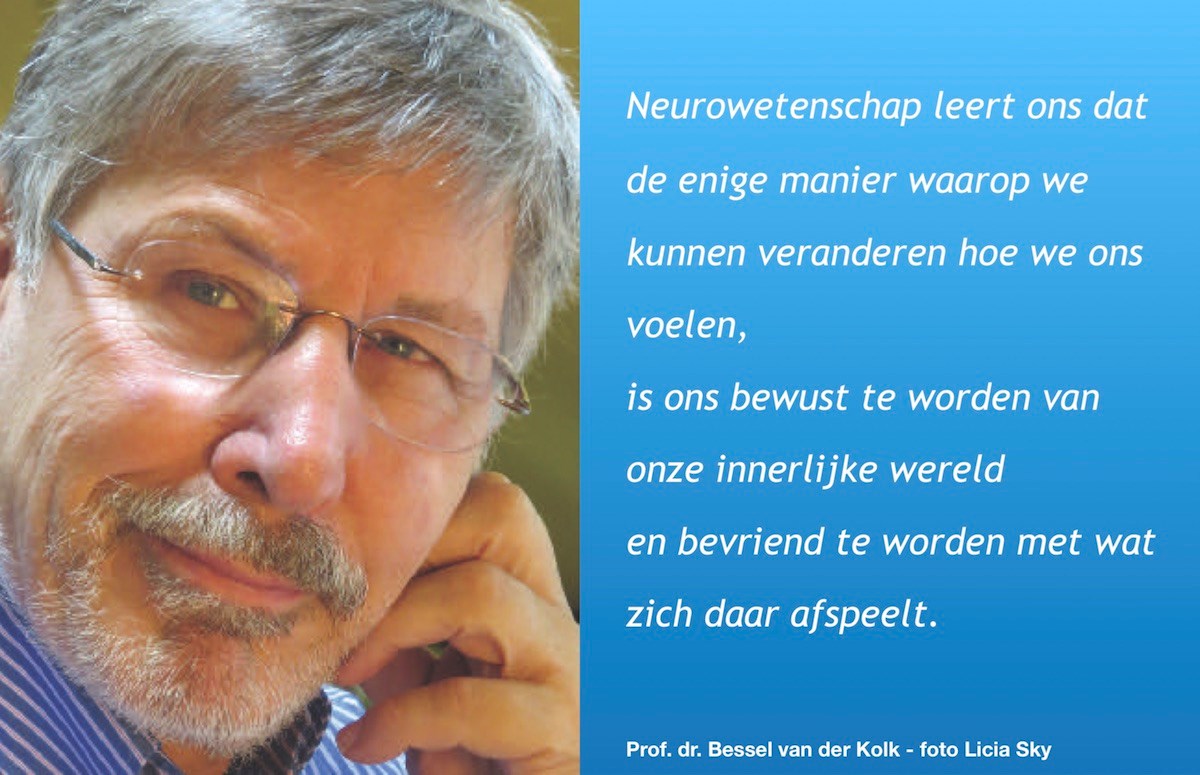 ‘De DSM heeft niets te maken met echte menselijke processen’