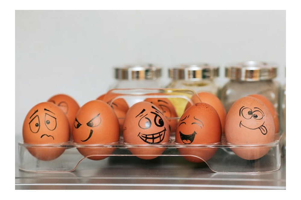 'Het lijkt hier wel een gekkenhuis'