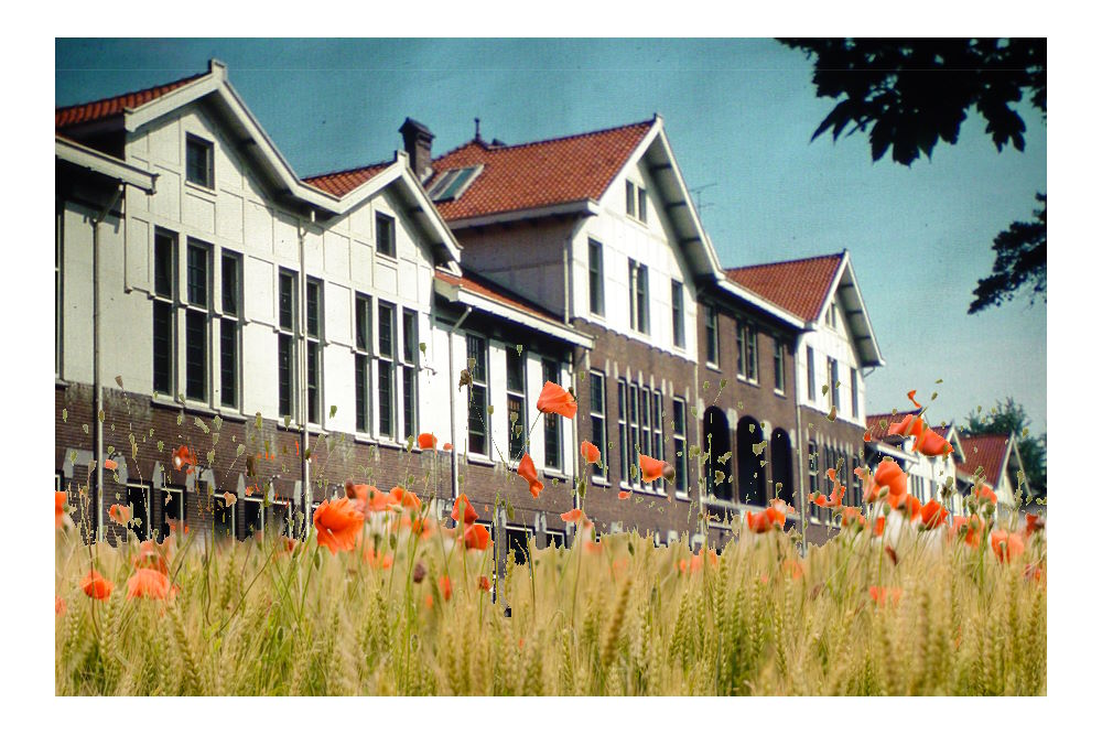 Geld voor het Groene Perspectief in de ggz? Dat is nog even de vraag