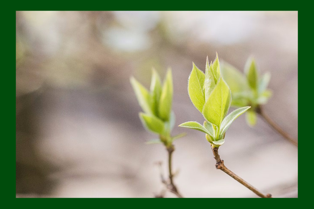 Een significant verschil