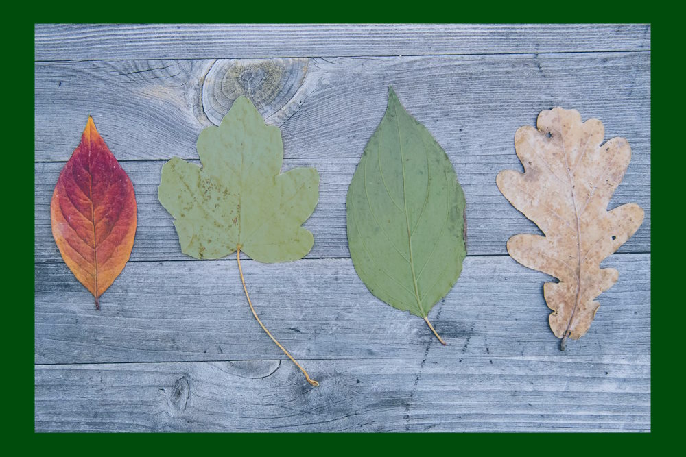 De geruststelling van de wachtkamer