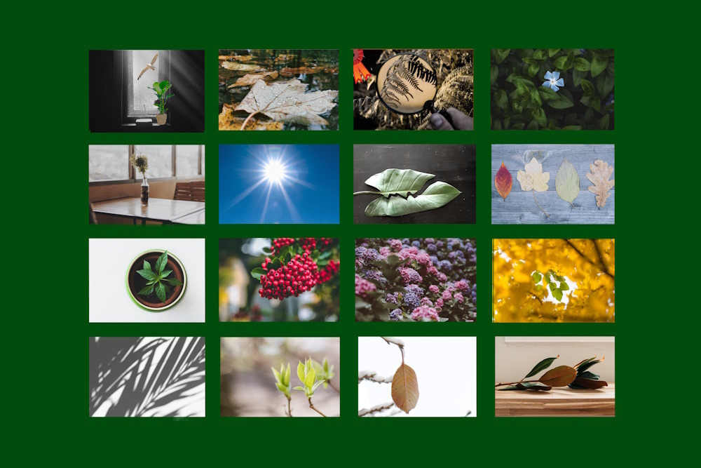 De jury heeft gekozen: een bloemlezing uit de ggz