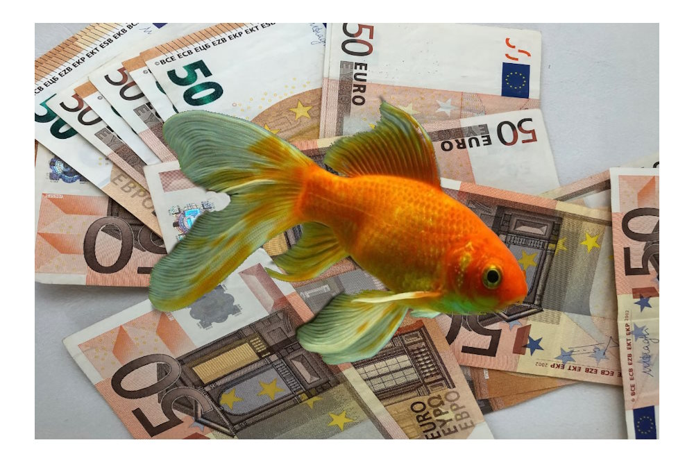 Loterijen blokkeren waarschuwingstekst tegen gokverslaving