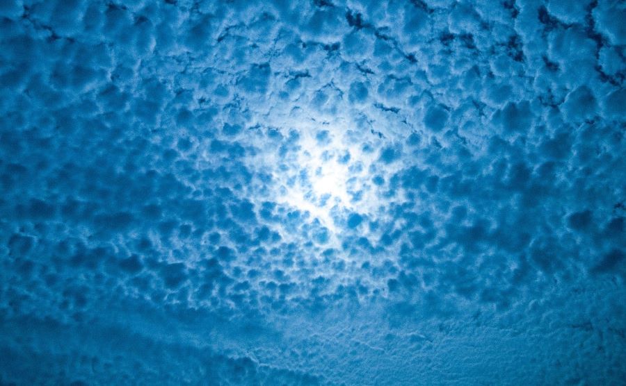 Blue Monday? Helemaal niet zo blauw!