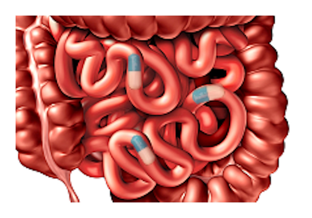 De invloed van de darmen op de behandeling van schizofrenie. Of andersom.