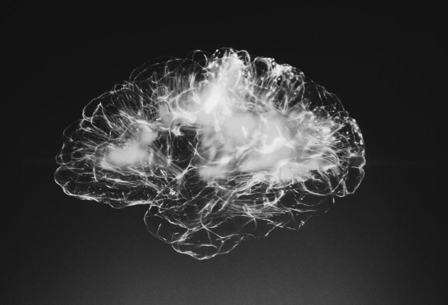 Miljoenensubsidie voor grensverleggend onderzoek neuropsychiatrie