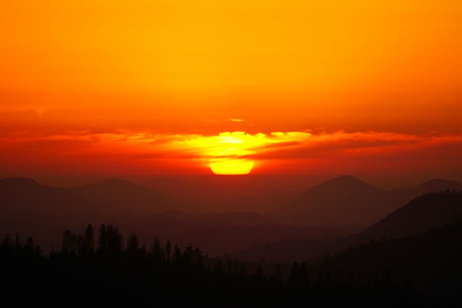 Meer euthanasiegevallen om psychische redenen