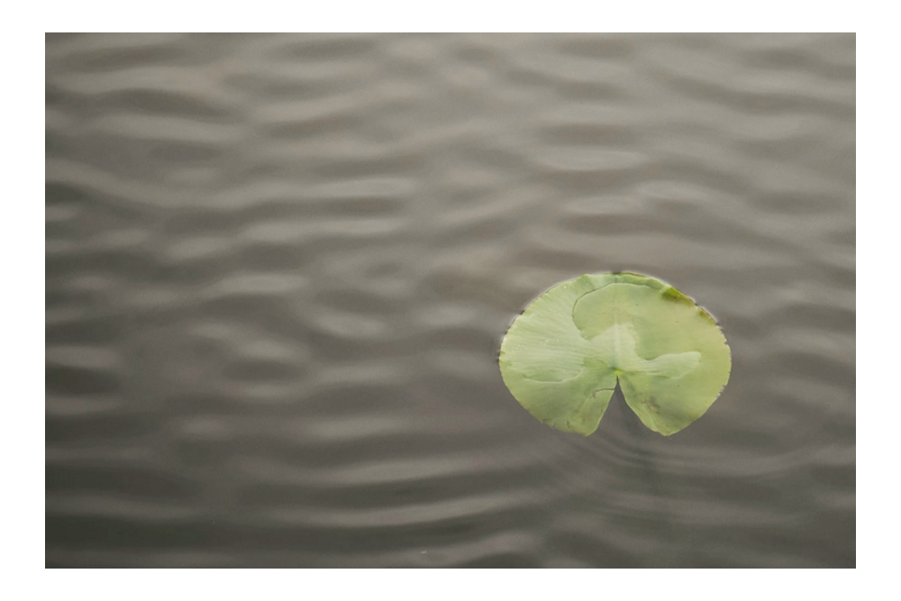 Initiatiefwet suïcidepreventie wordt vrijwel zeker door Kamer aangenomen