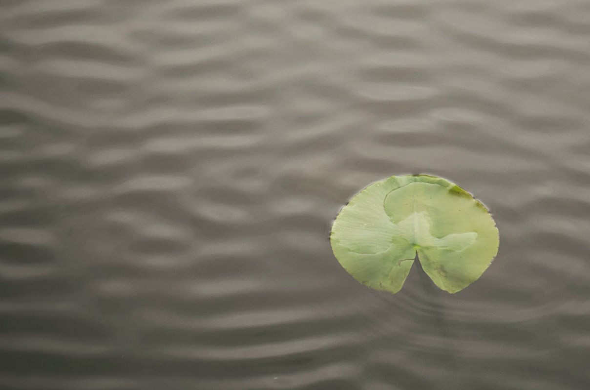 Zeker 172 mensen overleden door gebruik 'Middel X'