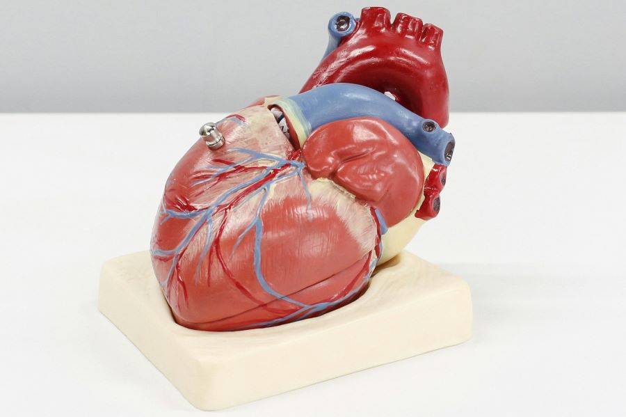 Vrouwen leven vaker met angst en depressie na hartstilstand