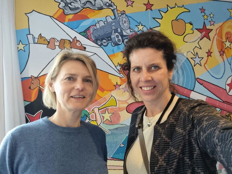 Is behandeling bipolariteit zonder langdurige medicatie mogelijk? 