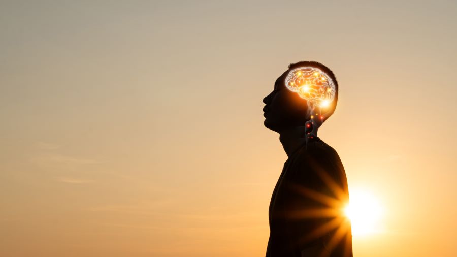 Webinar-serie met Deb Dana: het autonome zenuwstelsel in de therapeutische praktijk