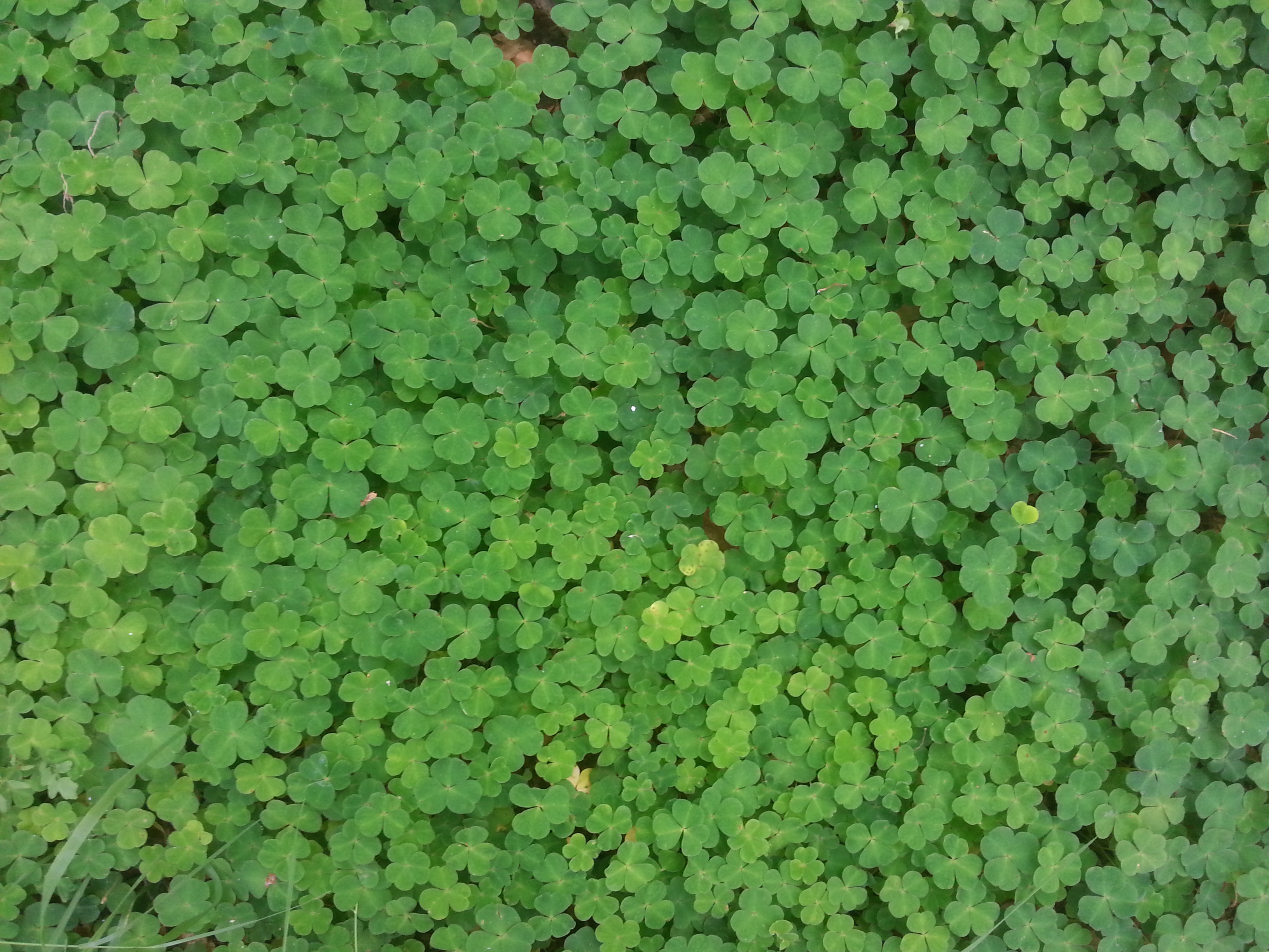 GGZ Rivierduinen tekent Green Deal 3.0