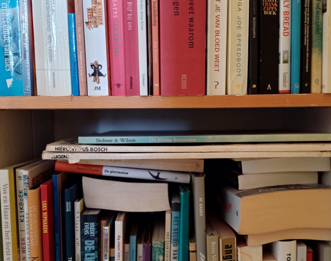 Ggz draait om taal: je moerstaal 