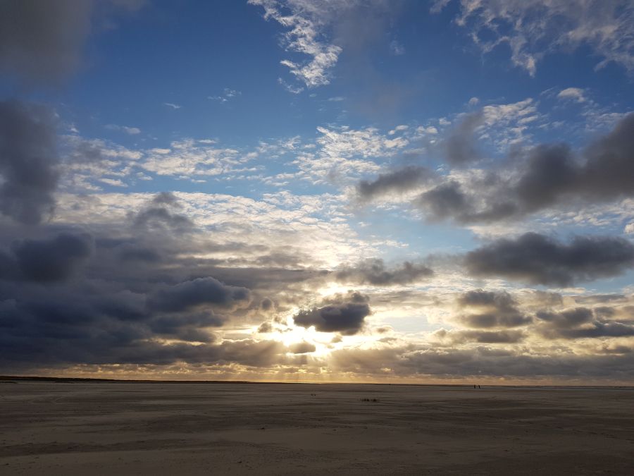 Pleidooi voor vaste rol psycholoog in euthanasie bij psychisch lijden