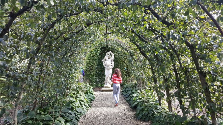 ‘Groen is goed voor mentale gezondheid, zeker in steden’
