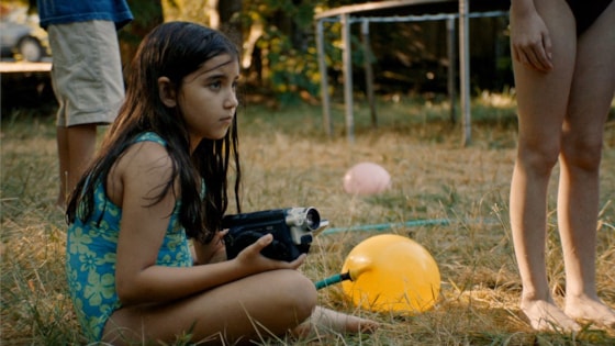 blue heron 2