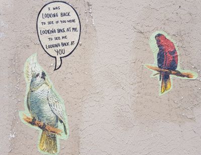 e-magazine 8 december